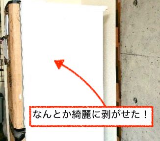 セリアのリメイクシートが剥がせた冷蔵庫