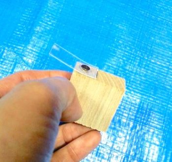 木材にプラスチック板を貼り付ける